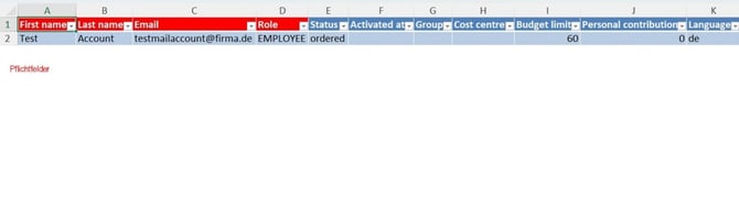 user_batch_import_DE_3