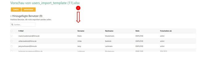 user_batch_import_DE_4